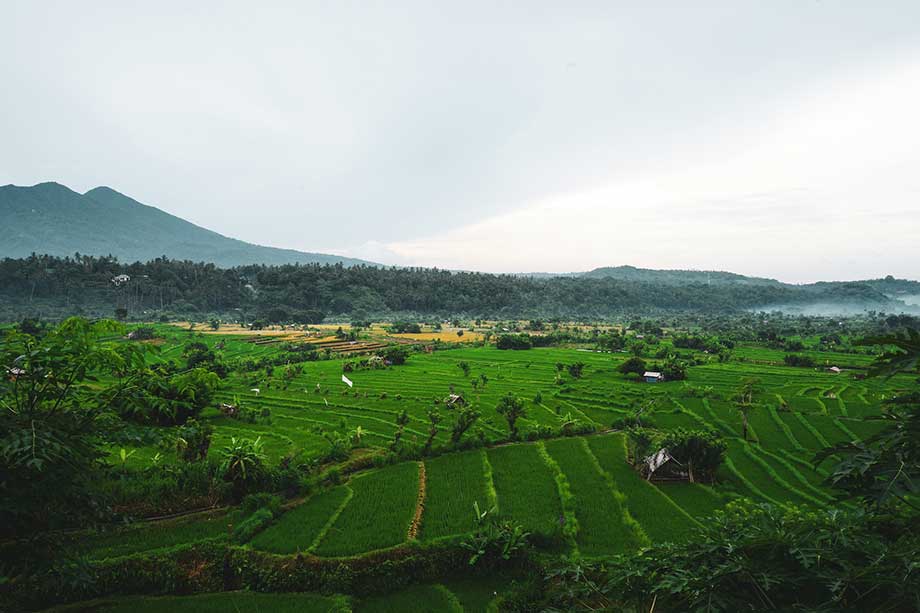 Tabanan